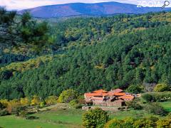 фотография de Chambre d'hôtes en Cévennes Lou Rey