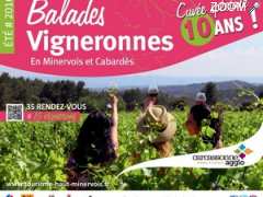 photo de Balades Vigneronnes en Minervois & Cabardes 